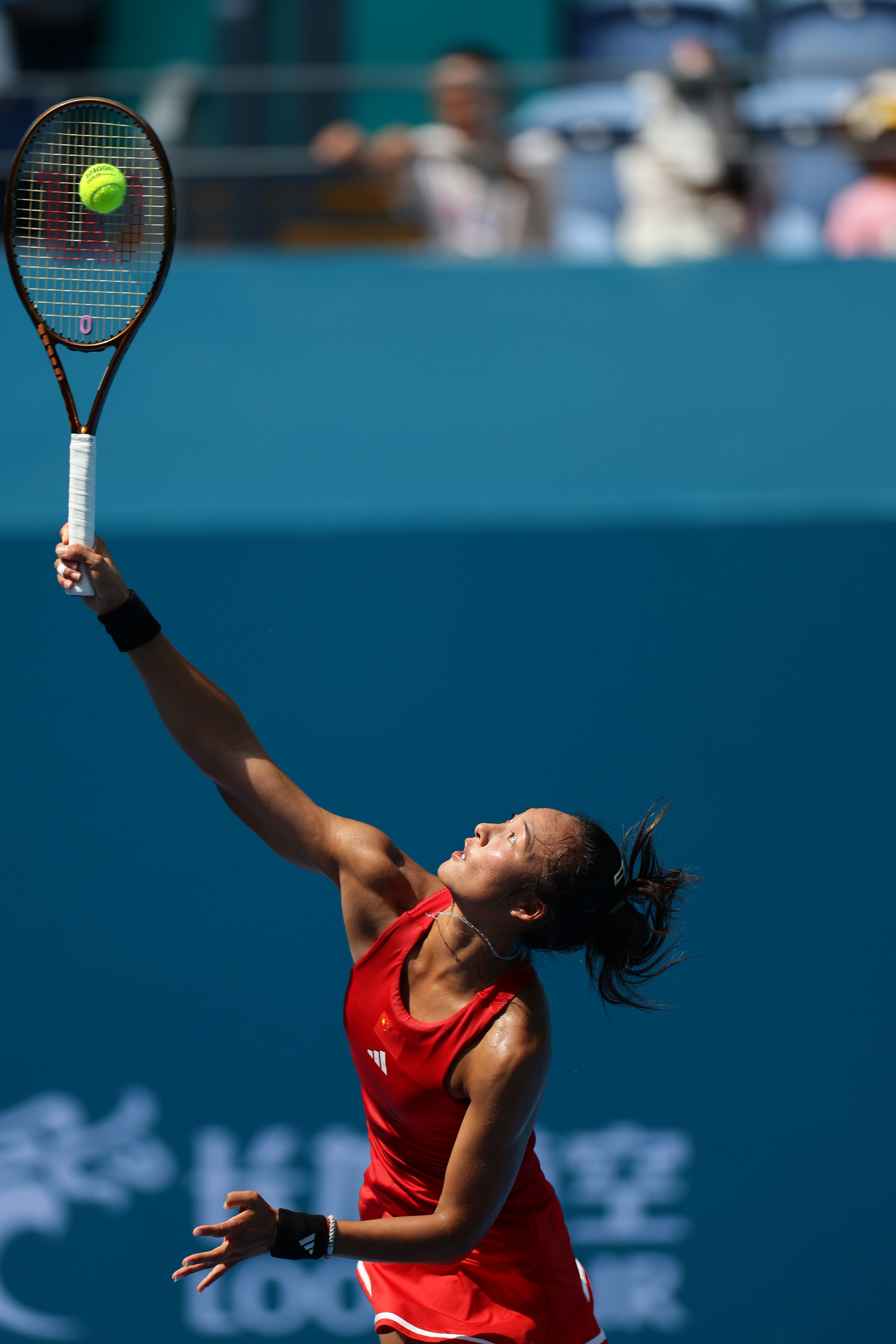 不断学习的 不断学习的