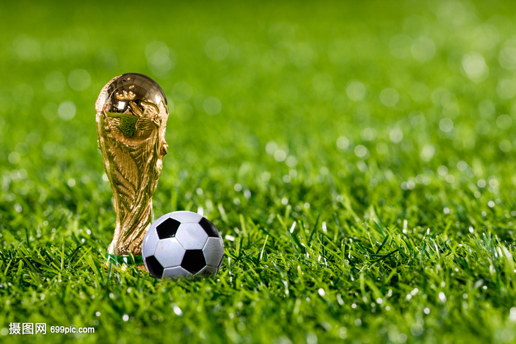 合理的伤病 合理的伤病